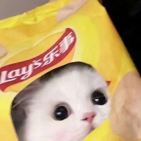 辉云顶之春城大街店 爱清台的金牌助教林林