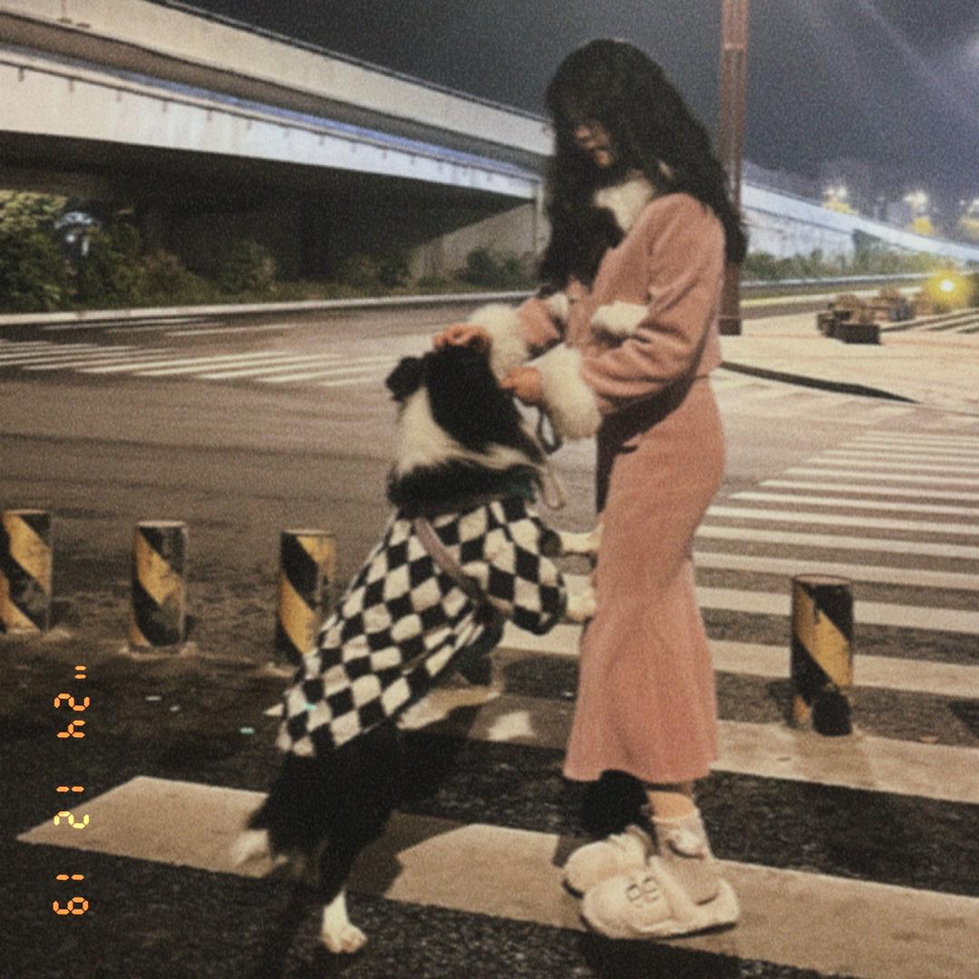 Dear.娇娇（XZQ）