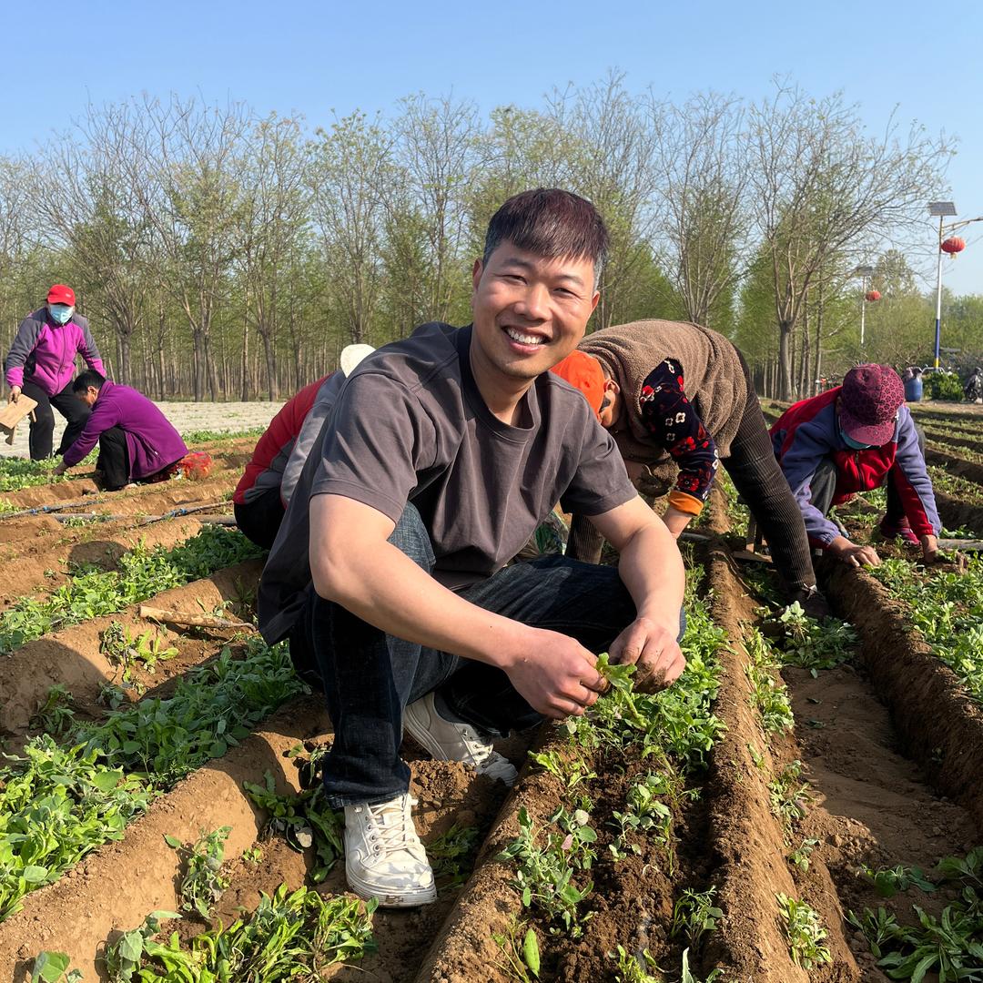 小雷的田间健康