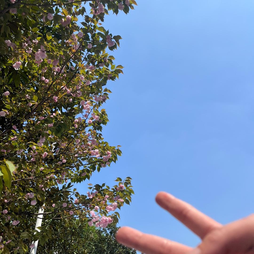 小小乐💞