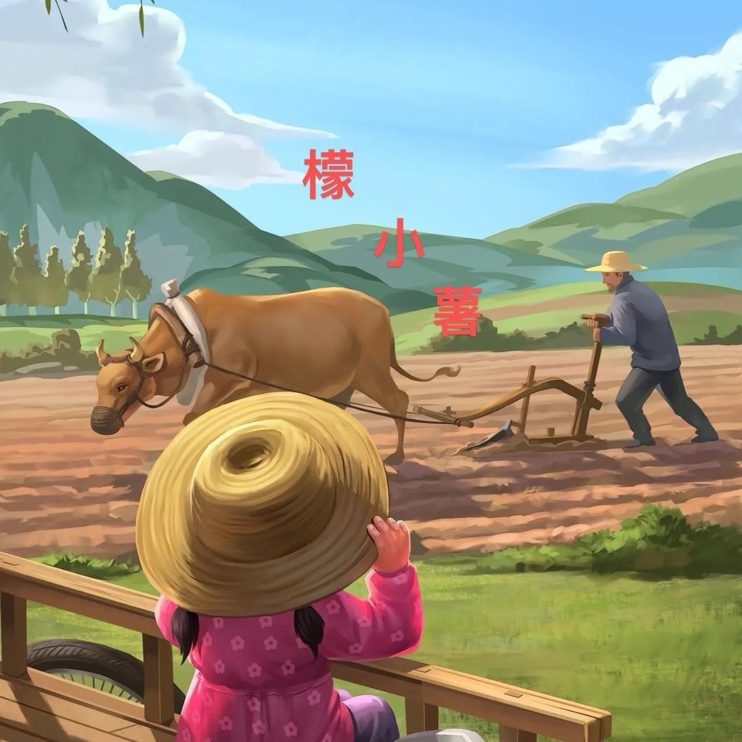檬小薯