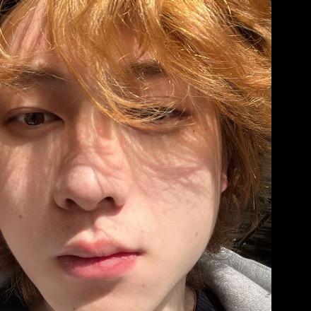 固🌹若🌹金🌹汤🌹