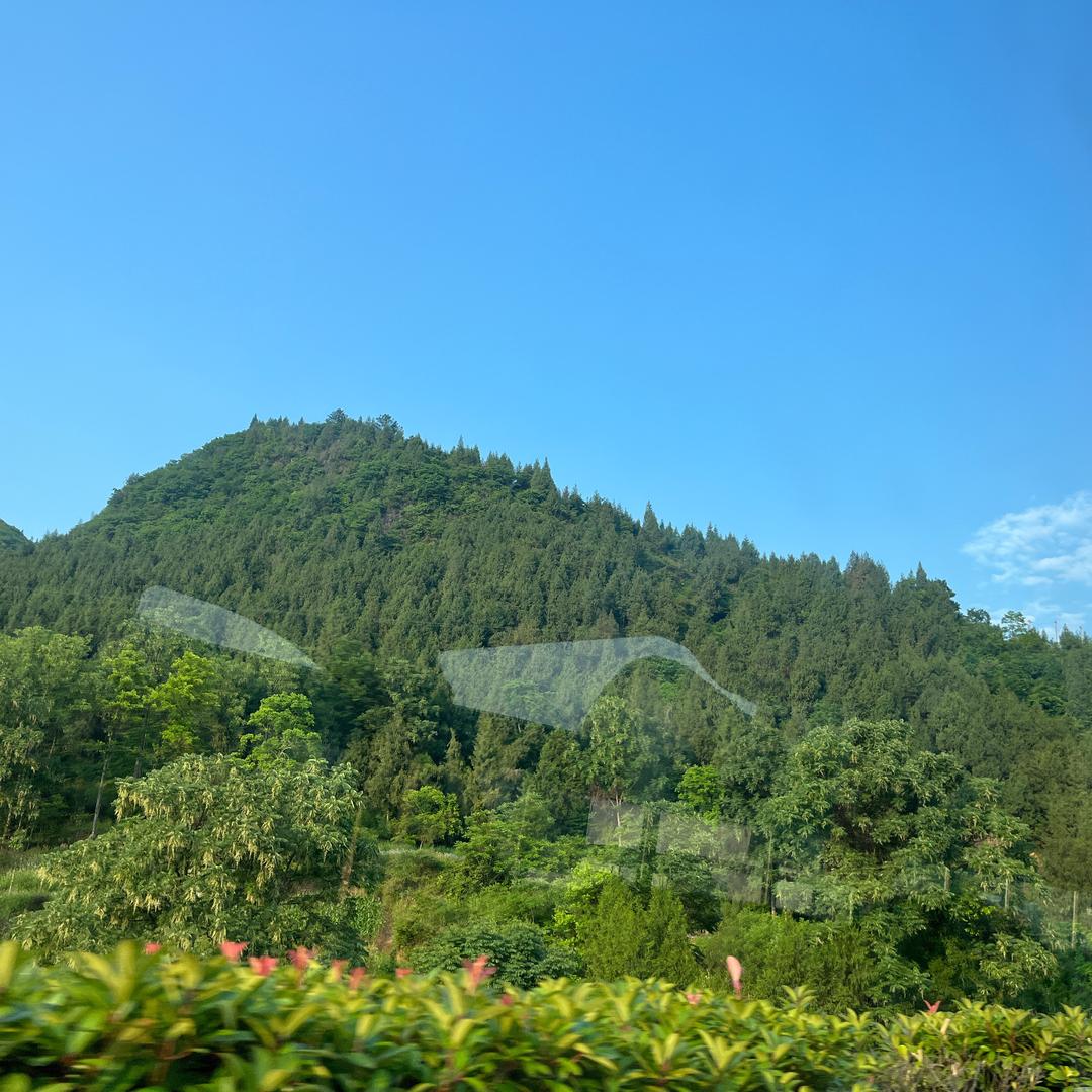 这一片悠远