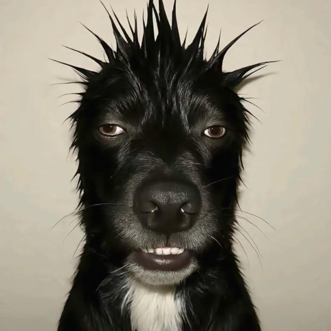 重案组之龙-喷火龙