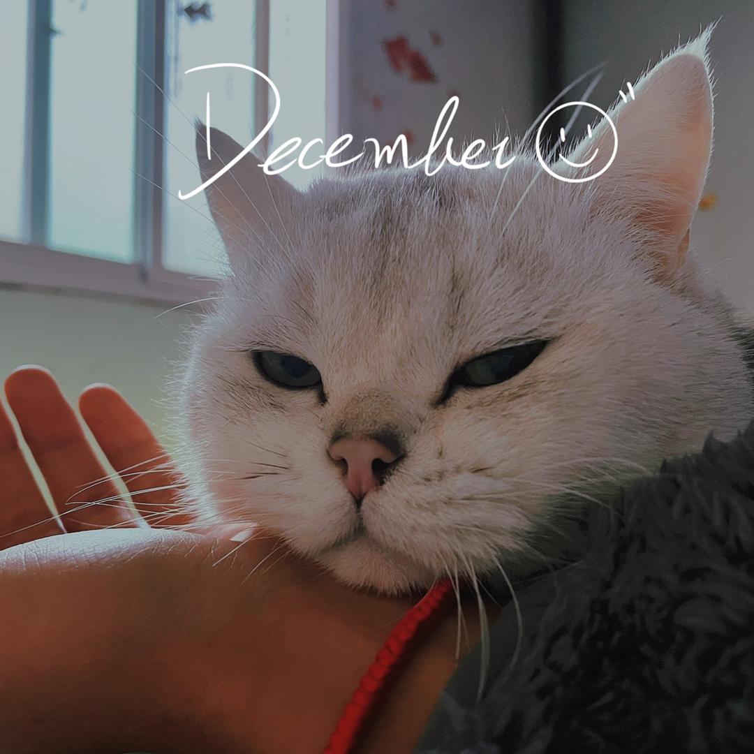 可乐雪碧柠檬茶