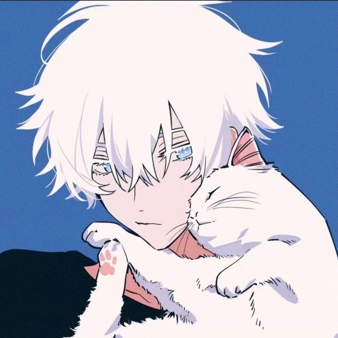 兰猫
