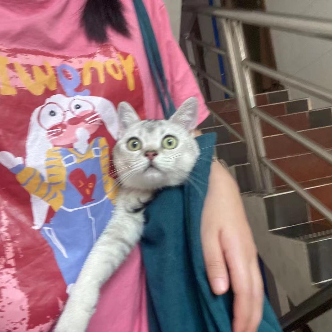 超级玛丽苏