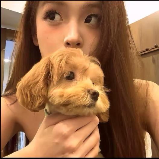 喵喵🐽