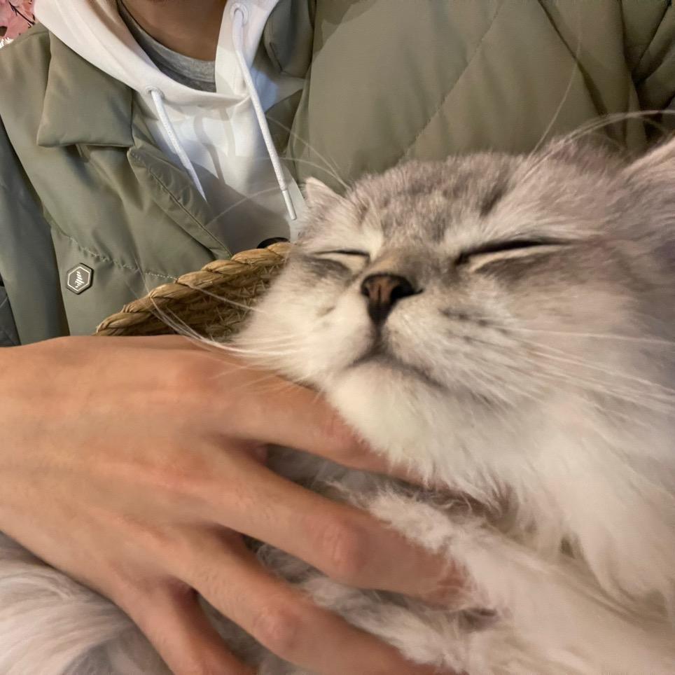 汉德桑姆