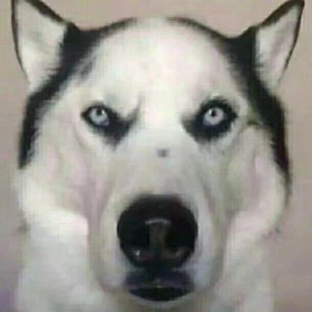 额…