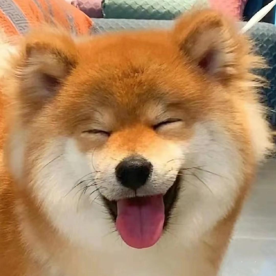 悟空鉴定师