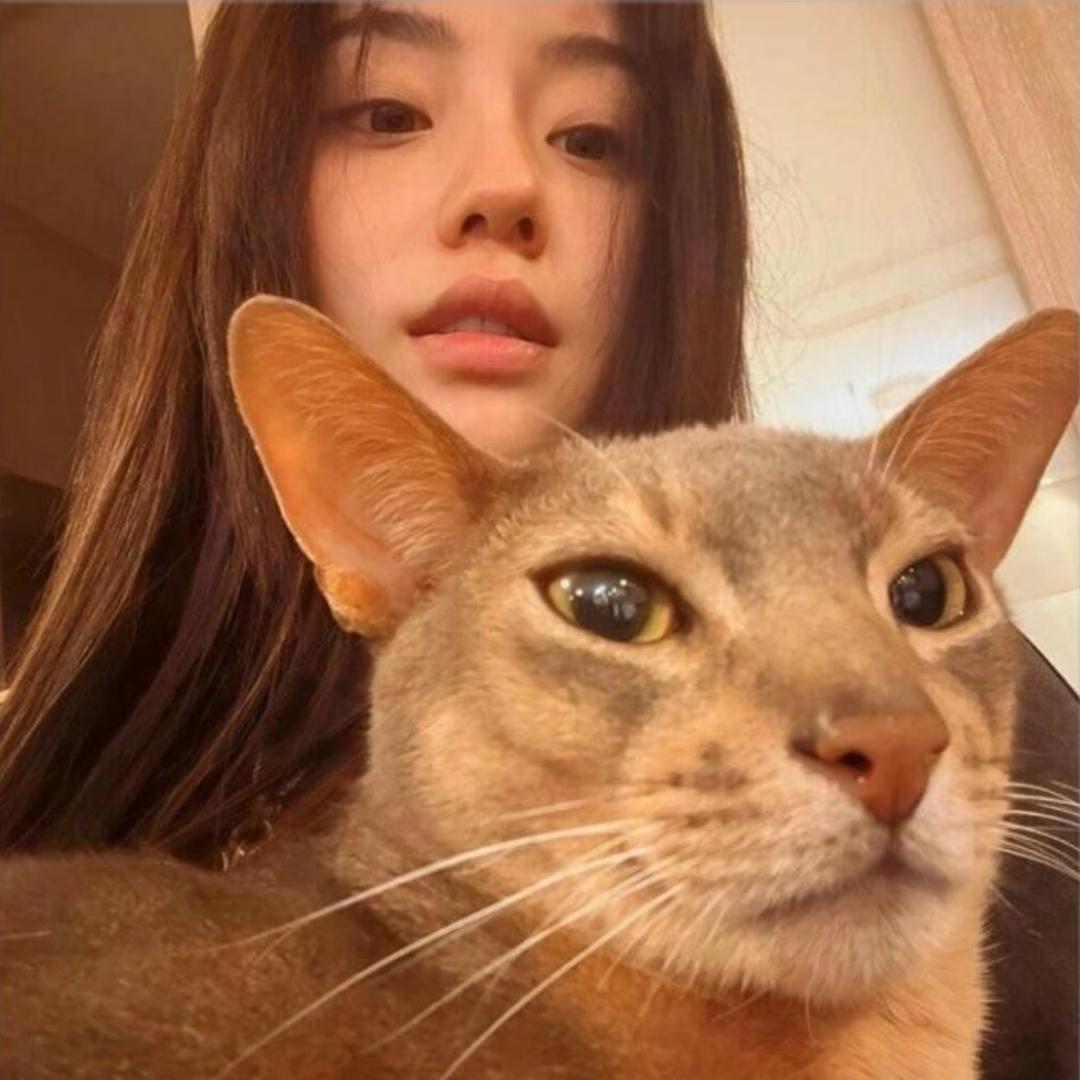 有事没事喝美式