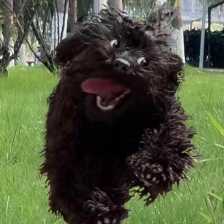 小明儿