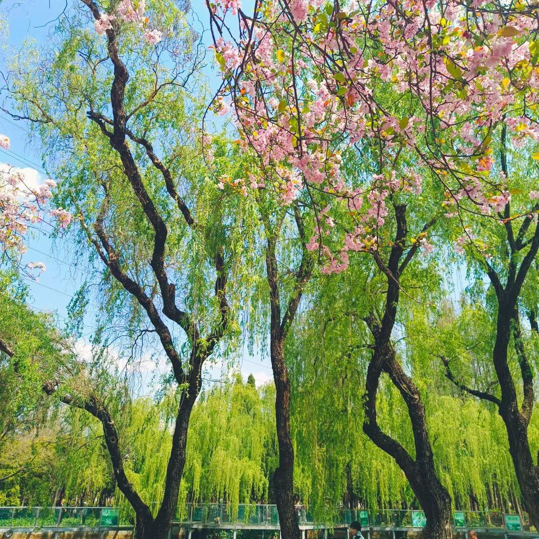 十一