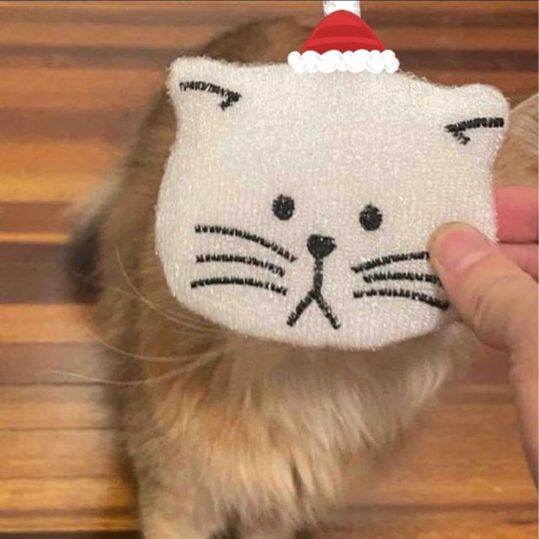 粽子是只猫