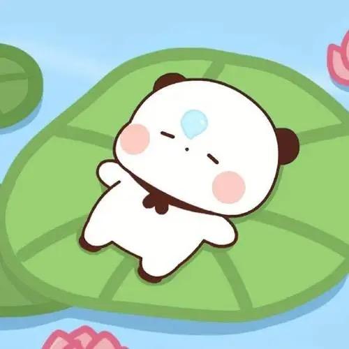 小迪