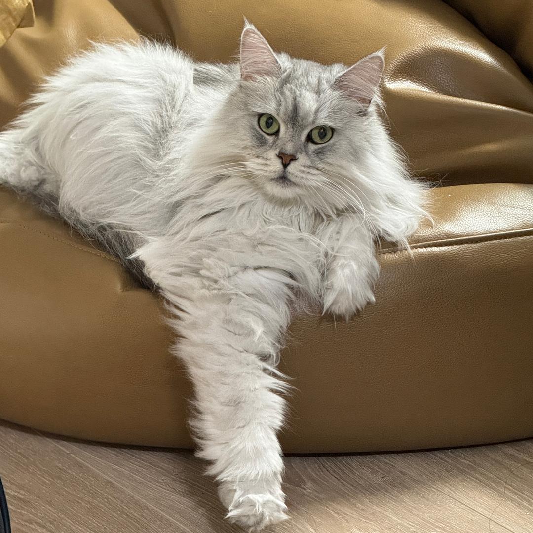Faye🥨
