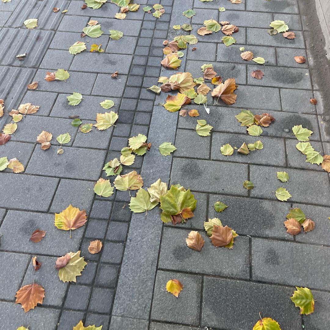 秋风