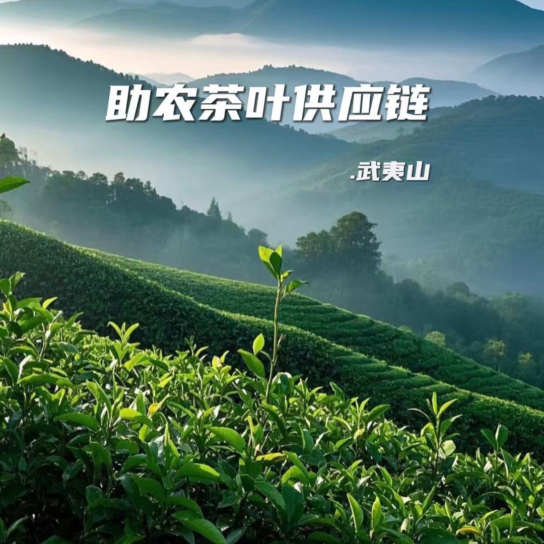 武夷山助农茶叶供应链