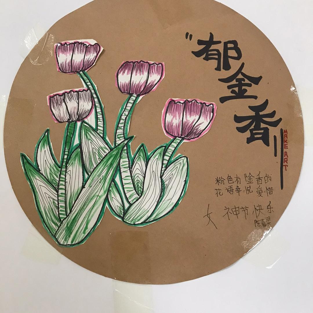 升华c567