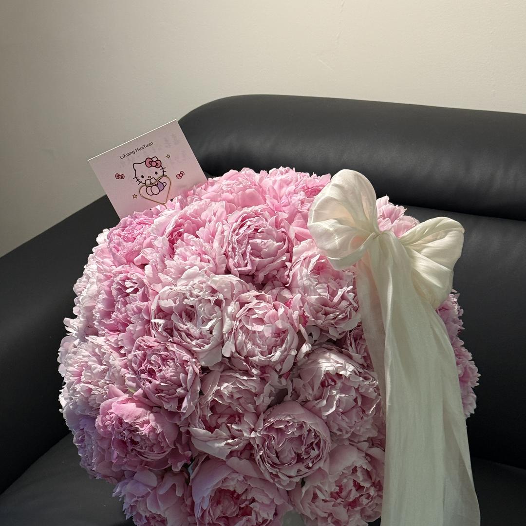 加勒比海藻（小助理）