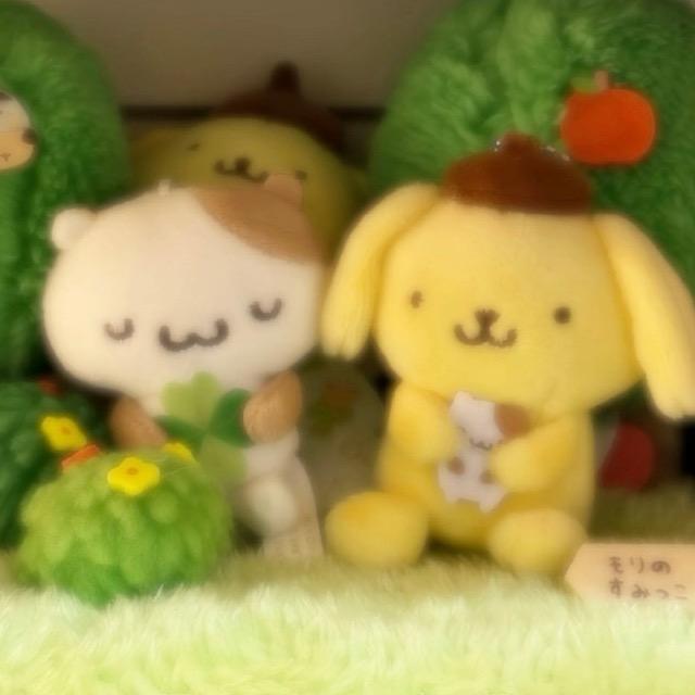 今天星期六