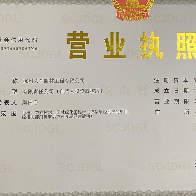 杭州莱森园林工程有限公司
