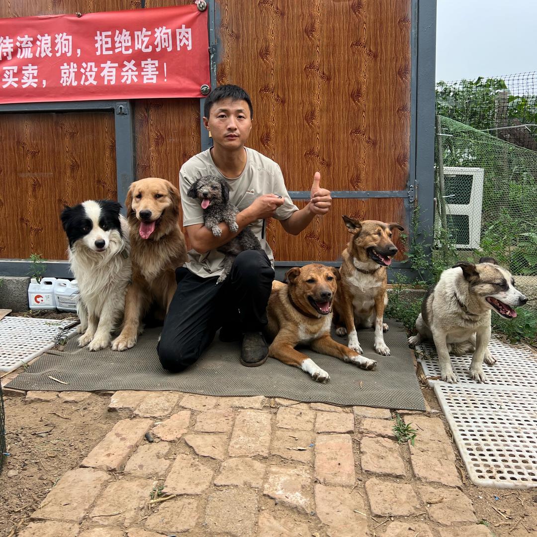 @狗儿哥（三毛）