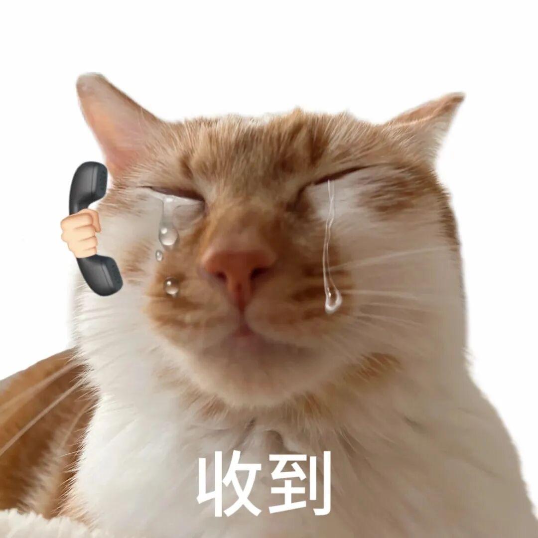 人间四月桃花雨（开始减肥版）