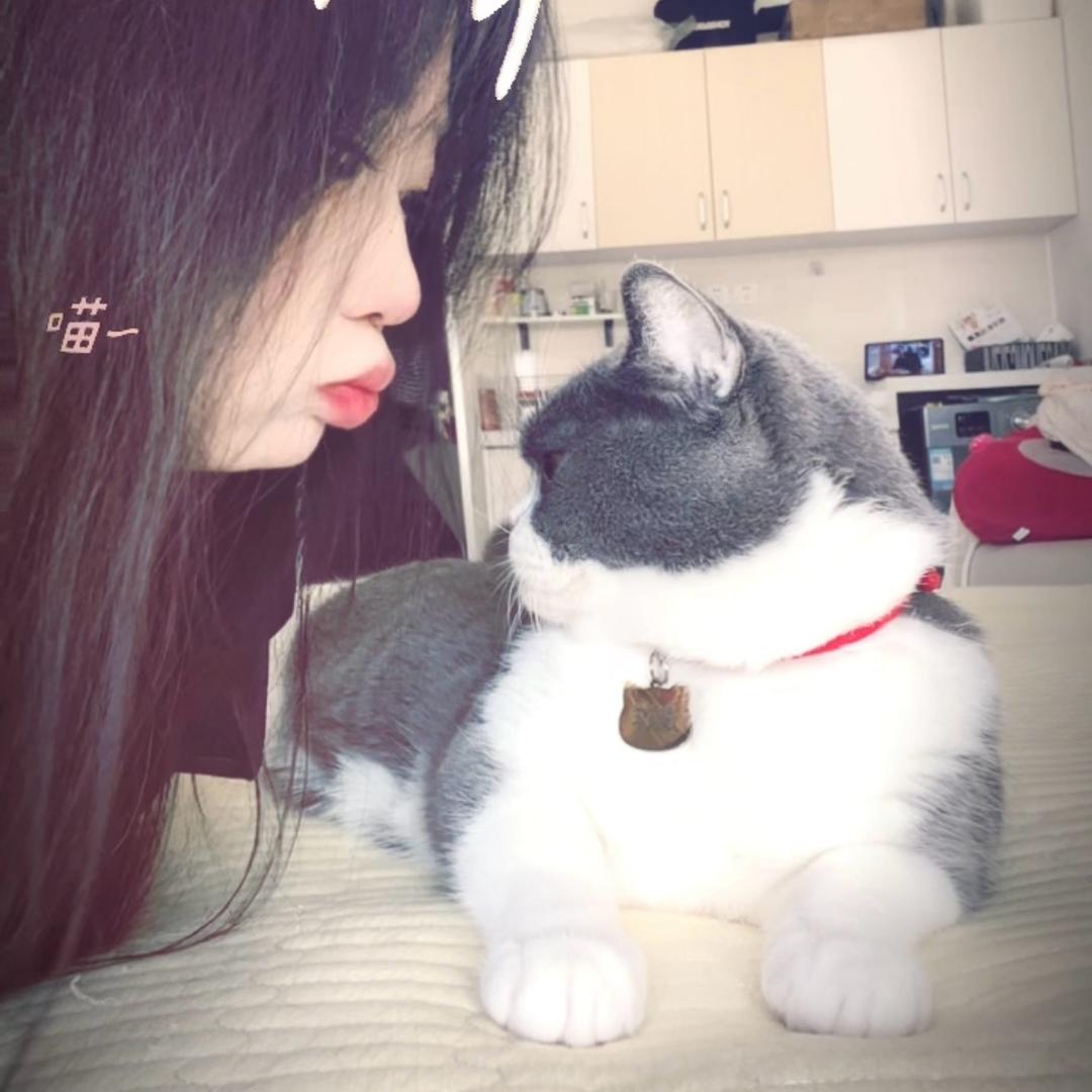 雪宝宝@💋