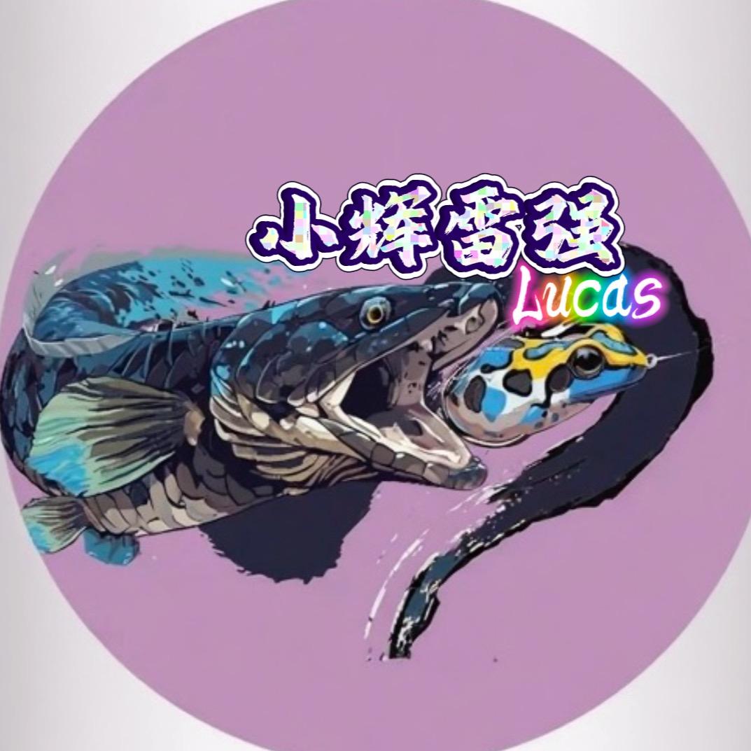 【𝑿.𝑯】小辉雷强（禧玛诺拒签钓手）