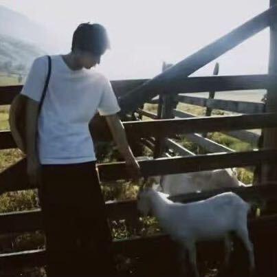 馬各