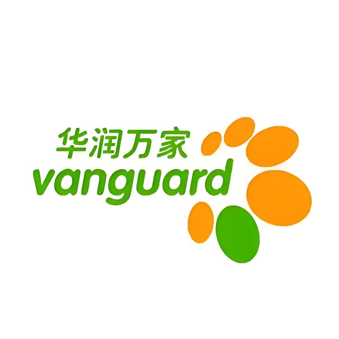 华润胖总