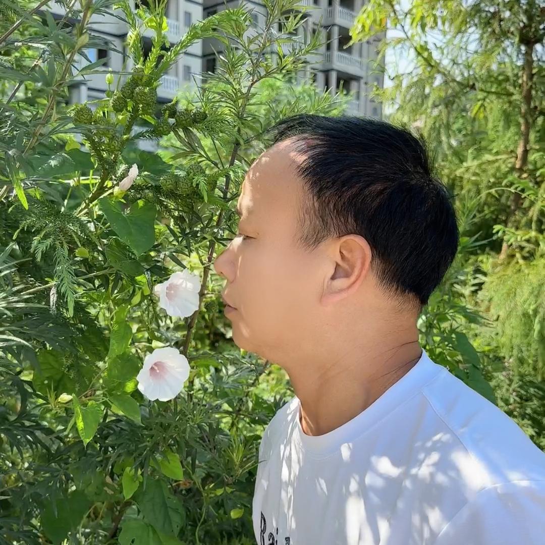 浅若清风
