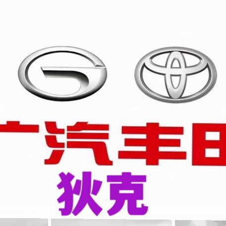 广汽丰田兆方店狄克(Dick)