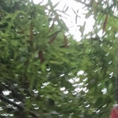 成功🌳🌳🌳🌳🦔🦥🦥加油