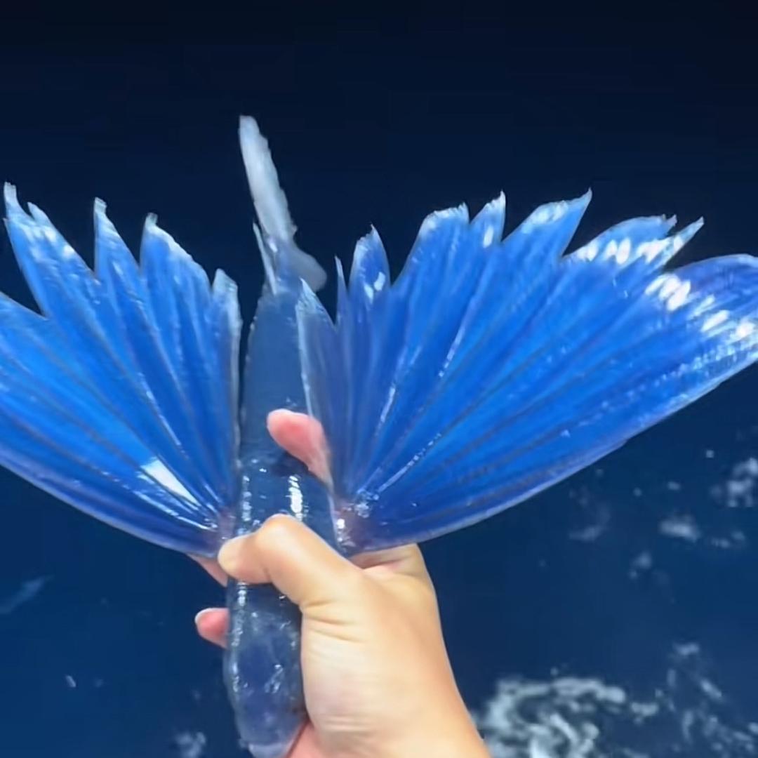 琛宝讲故事