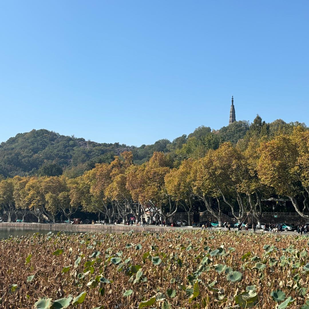 爱杭州生活分享