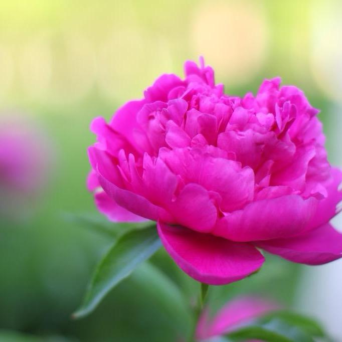 🥀᭄珍惜꧔ꦿᩚ💕738