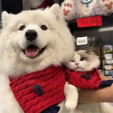 煲仔饭