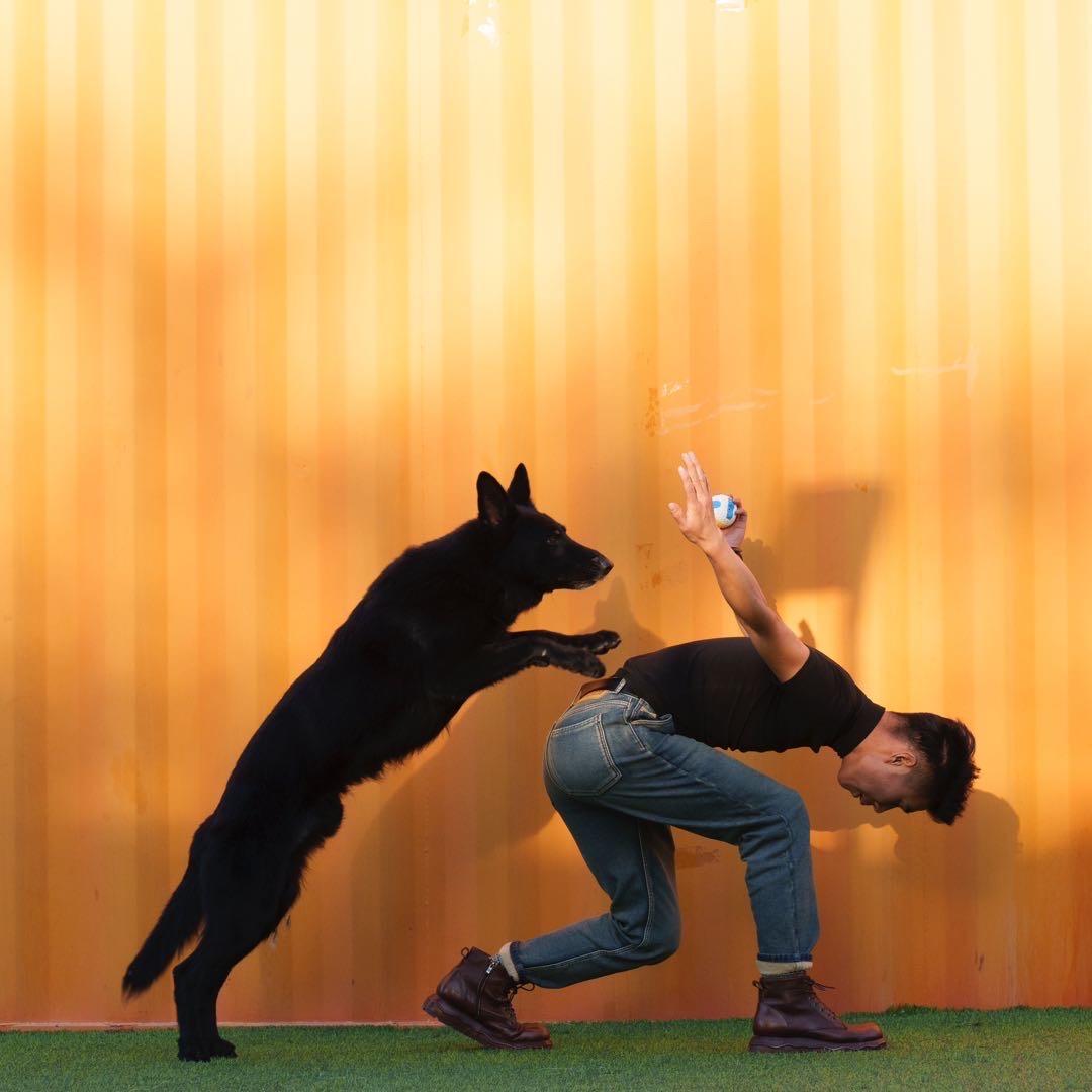 新疆狗老大金牌训犬