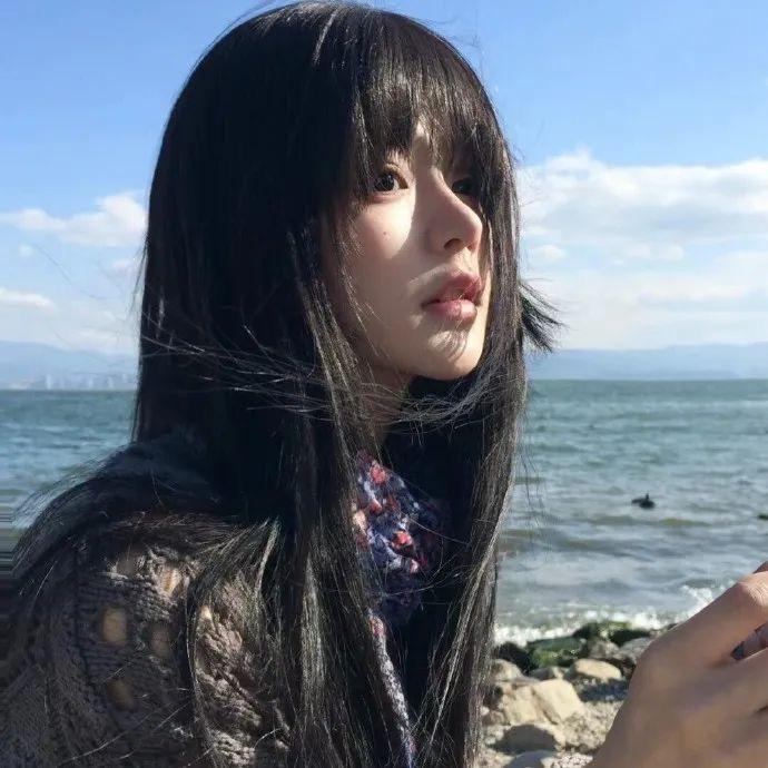 年轮的第七道暗痕