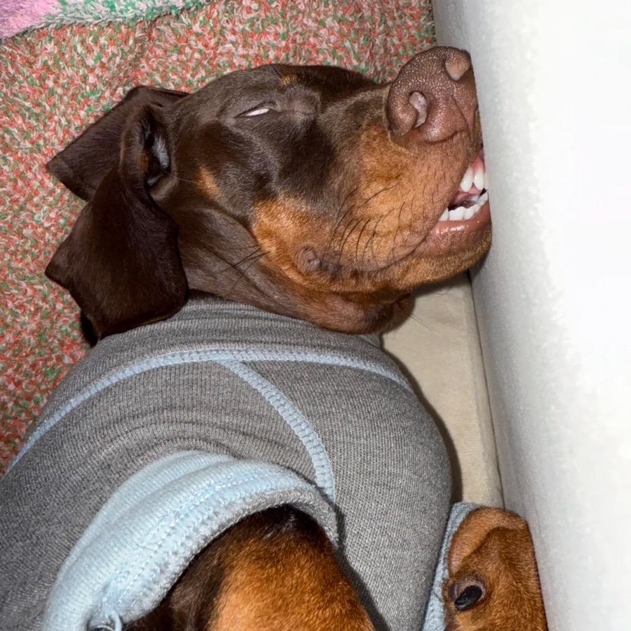 我爱喝小郭汁🍹