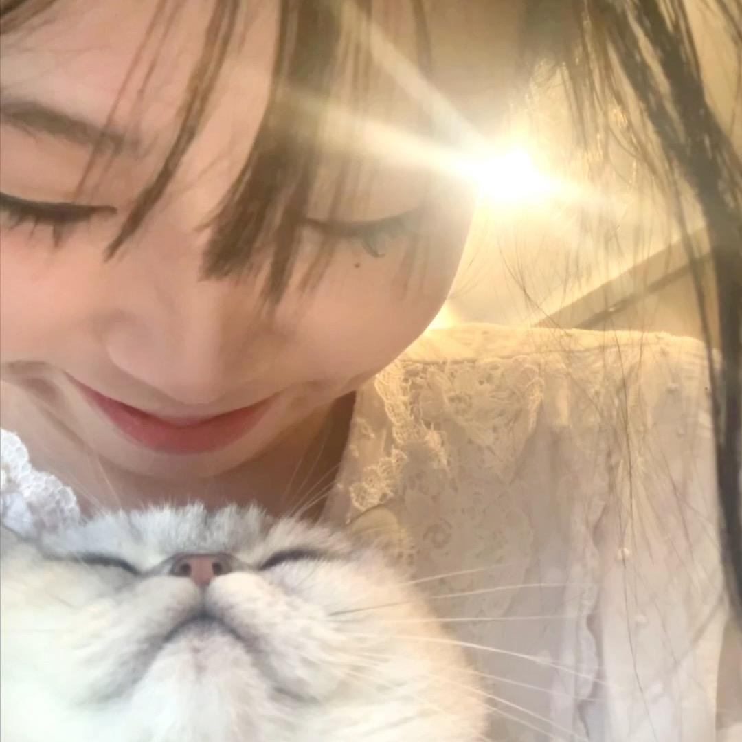 只爱小猫tu