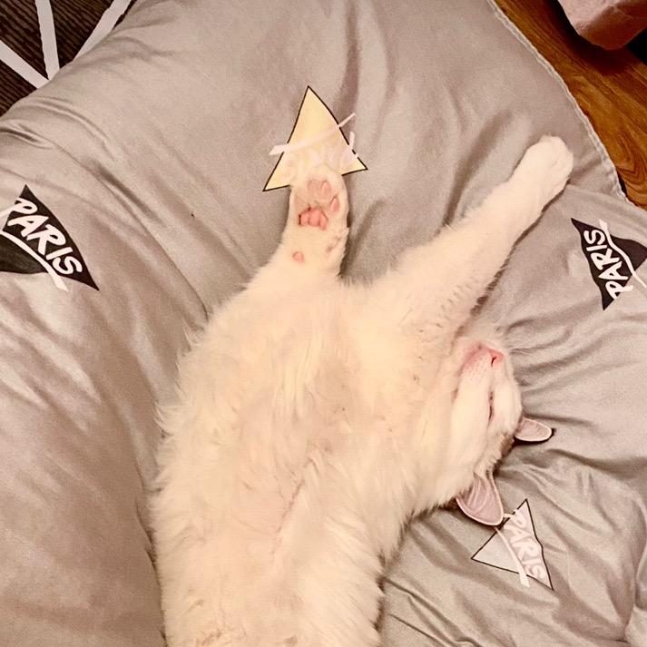Sugar