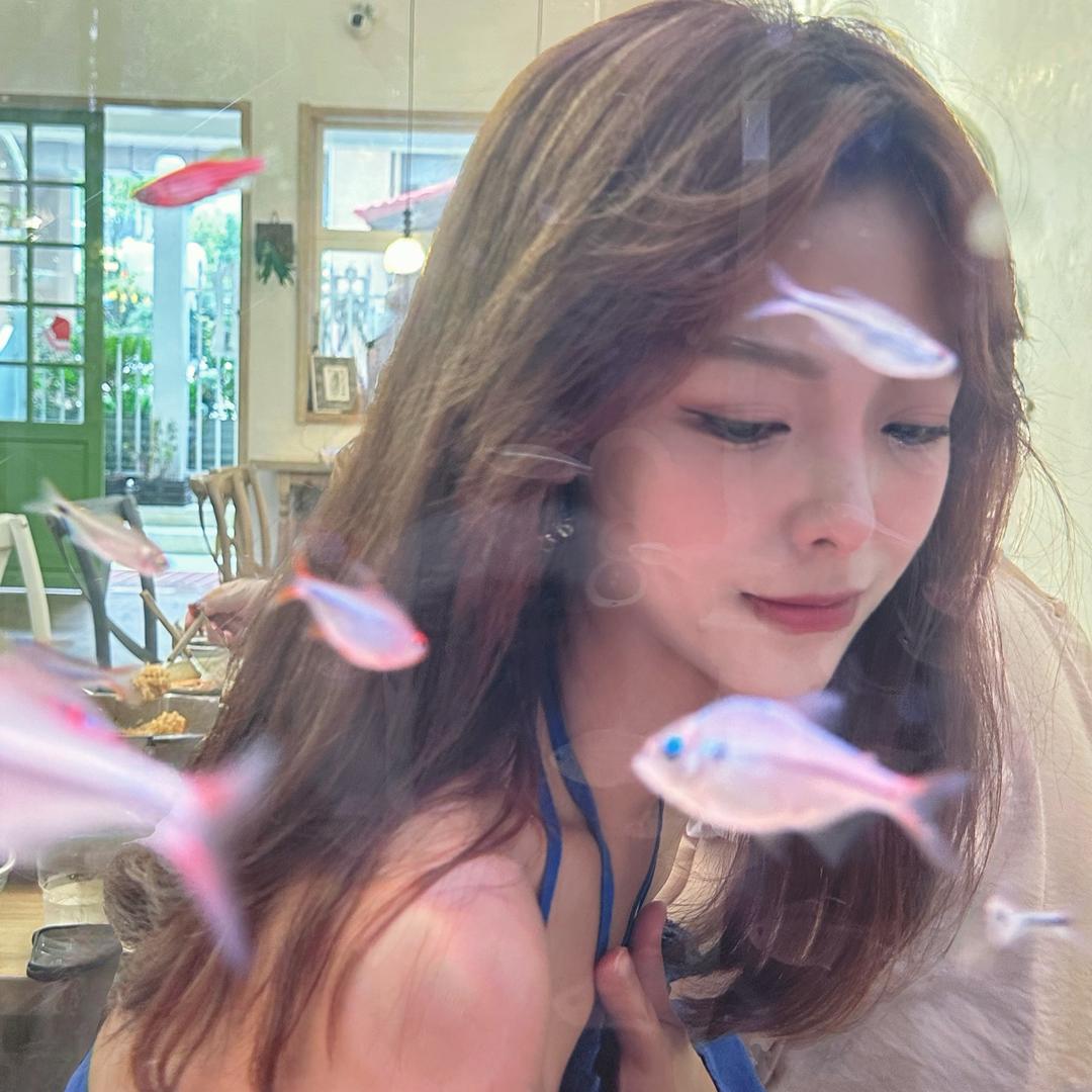 今日份的甜