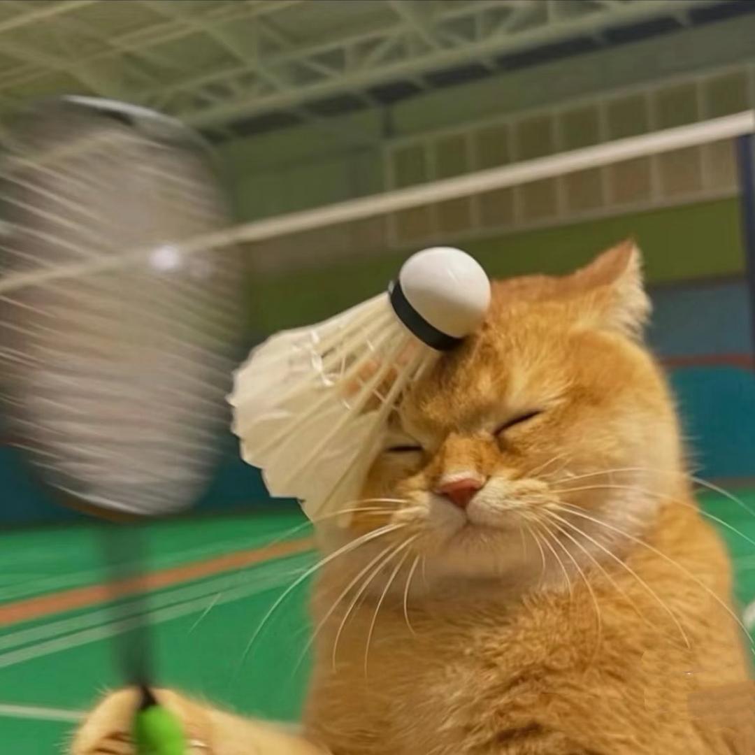 🌊🌊🌊🌊🌊🌊🌊🌊🌊🌊