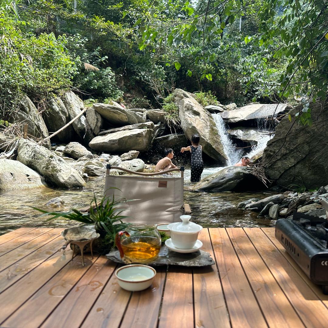 四姑娘☘️爱喝茶