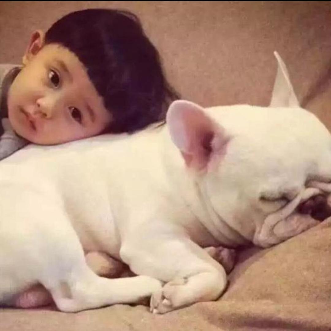 如。