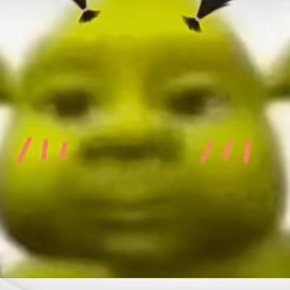 我的老婆是仙女